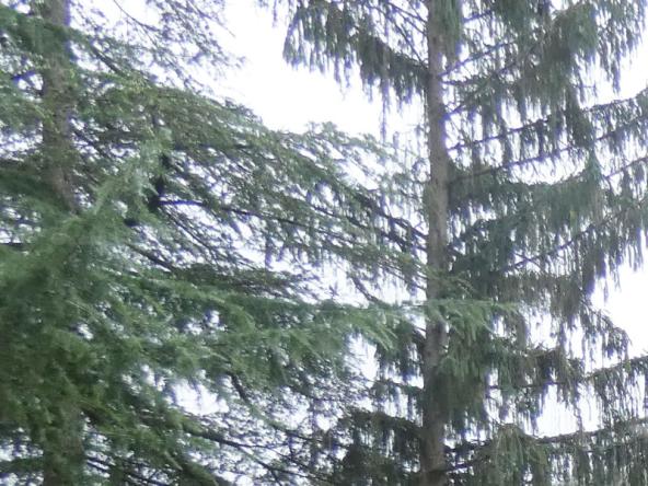 Foto Casa-indipendente in Vendita a Ponzone