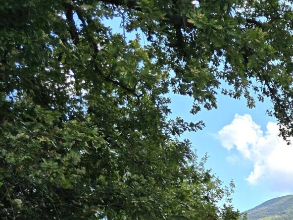 Foto Rustico-casale-corte in Vendita a Assisi