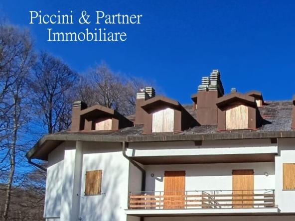 Foto Appartamento in Vendita a Seggiano