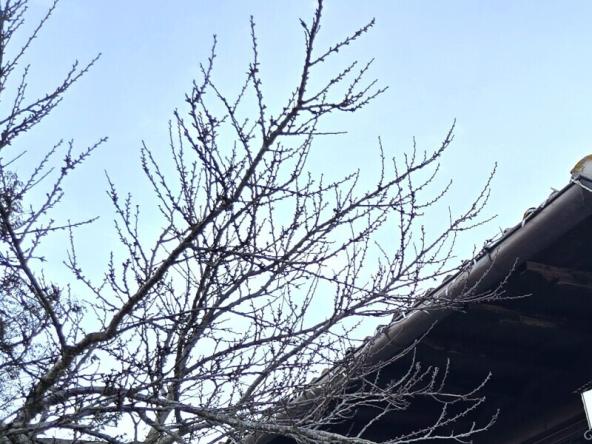 Foto Rustico-casale-corte in Vendita a Gubbio