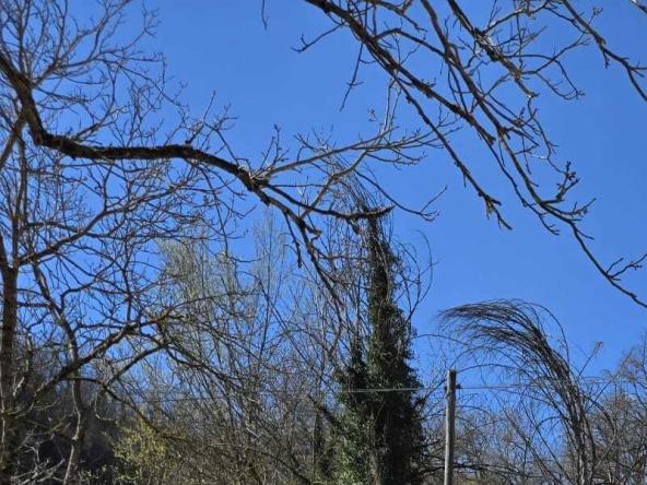 Foto Appartamento in Vendita a Cerreto di Spoleto