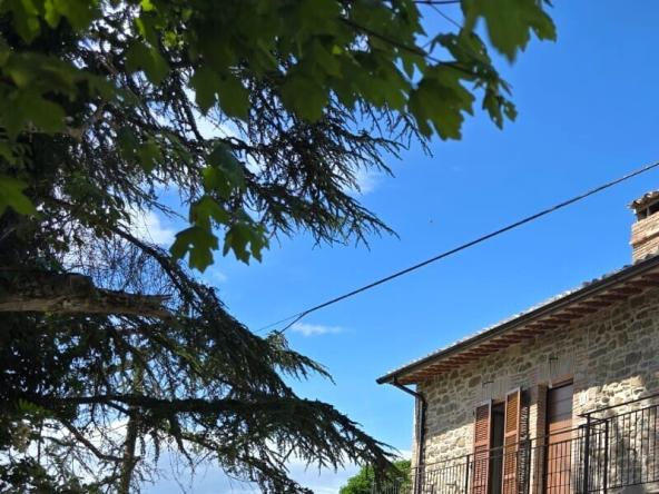 Foto Rustico-casale-corte in Vendita a Assisi