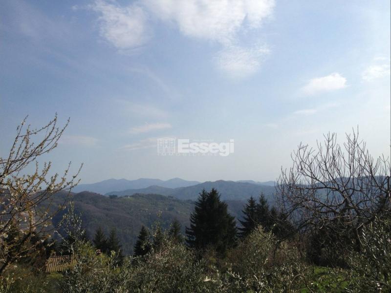 Foto Semindipendente in Vendita a Pescaglia