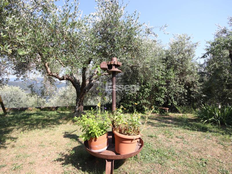 Foto Rustico-casale-corte in Vendita a Pescaglia