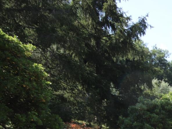 Foto Rustico-casale-corte in Vendita a Pescaglia