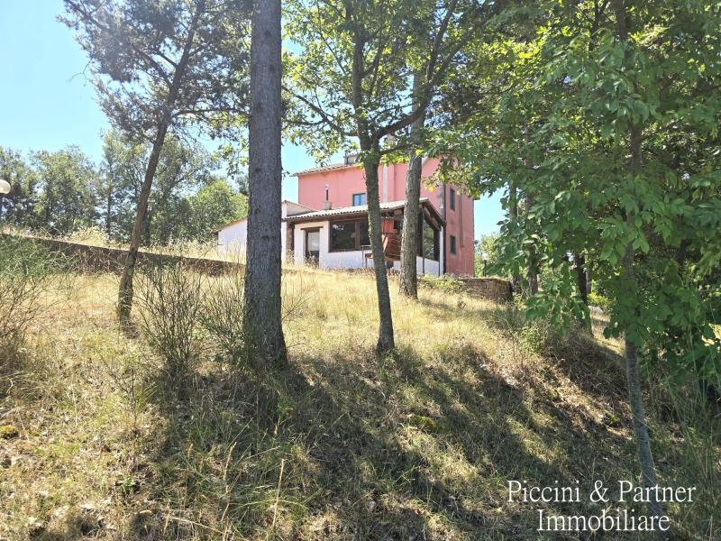 Foto Villa in Vendita a San Venanzo