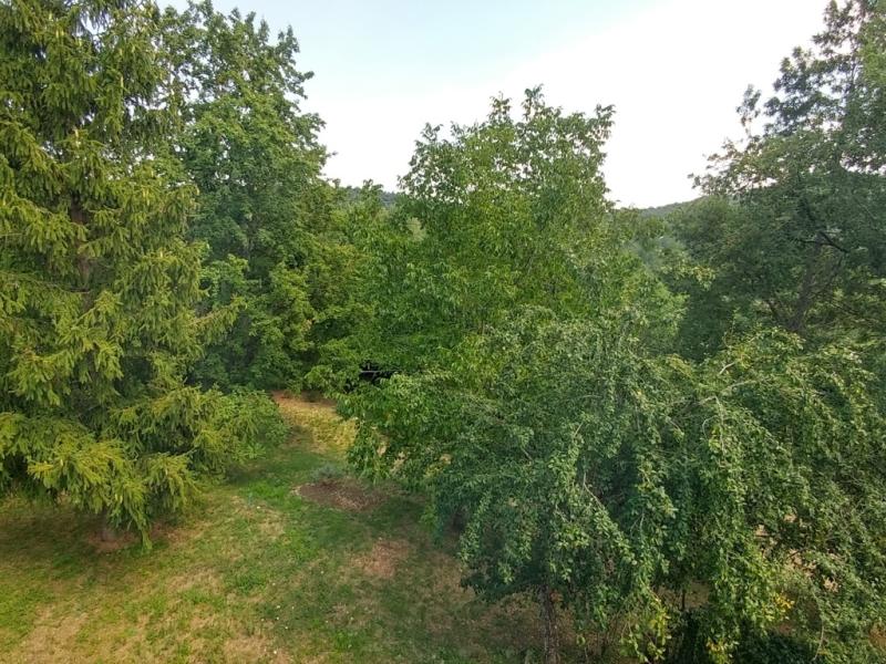 Foto Appartamento in Vendita a Guiglia