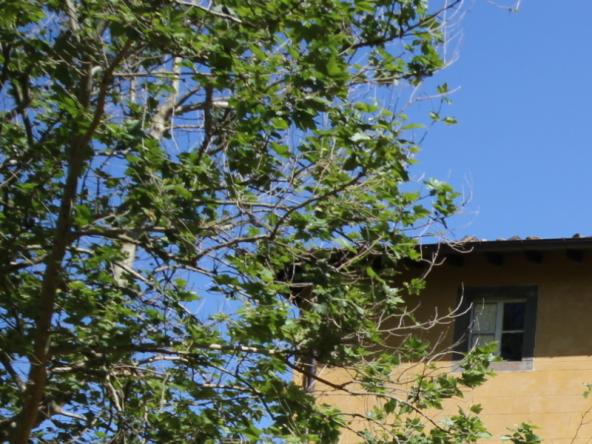 Foto Villa in Vendita a Coreglia Antelminelli