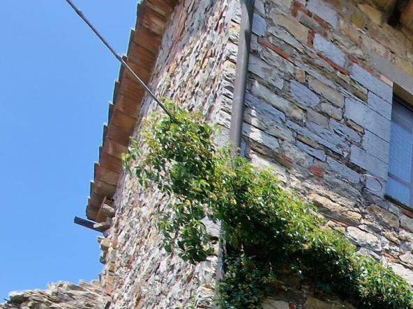 Foto Appartamento in Vendita a Piegaro