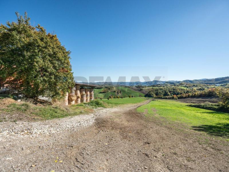 Foto azienda-agricola in Vendita a Neviano degli Arduini