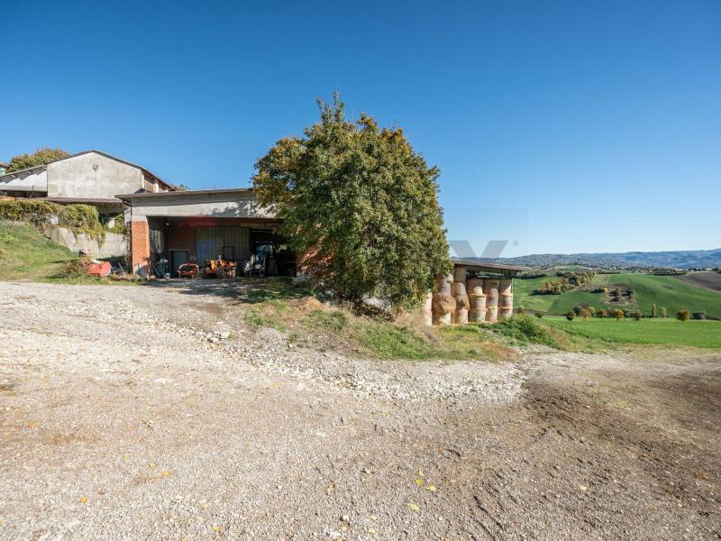 Foto azienda-agricola in Vendita a Neviano degli Arduini