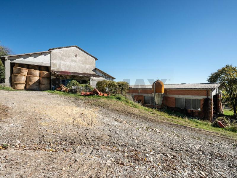 Foto azienda-agricola in Vendita a Neviano degli Arduini