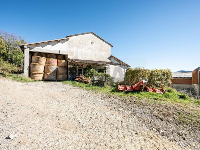 Foto azienda-agricola in Vendita a Neviano degli Arduini