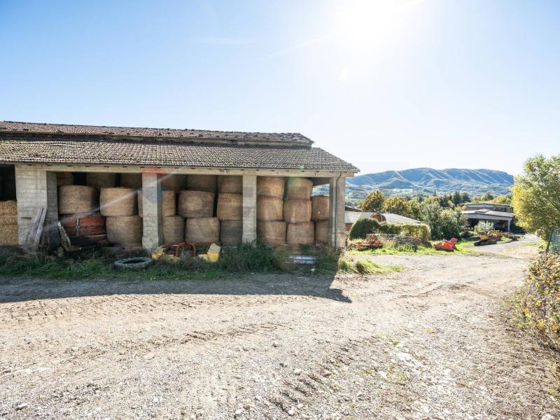 Foto azienda-agricola in Vendita a Neviano degli Arduini