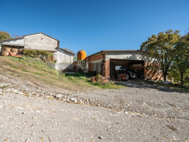 Foto azienda-agricola in Vendita a Neviano degli Arduini