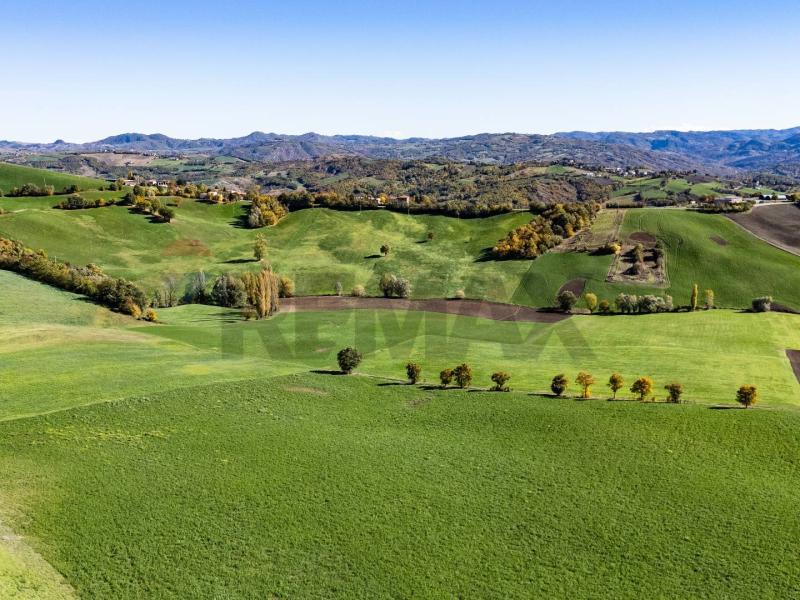 Foto azienda-agricola in Vendita a Neviano degli Arduini