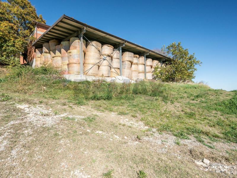 Foto azienda-agricola in Vendita a Neviano degli Arduini