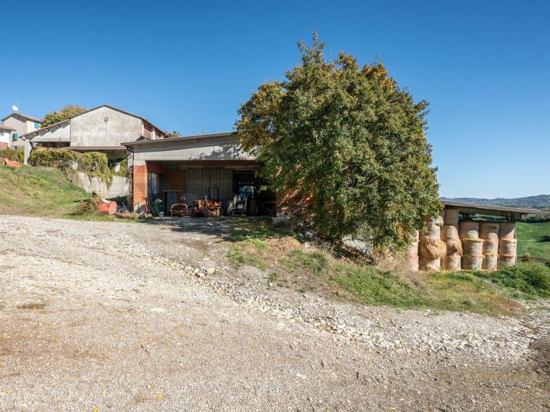 Foto azienda-agricola in Vendita a Neviano degli Arduini