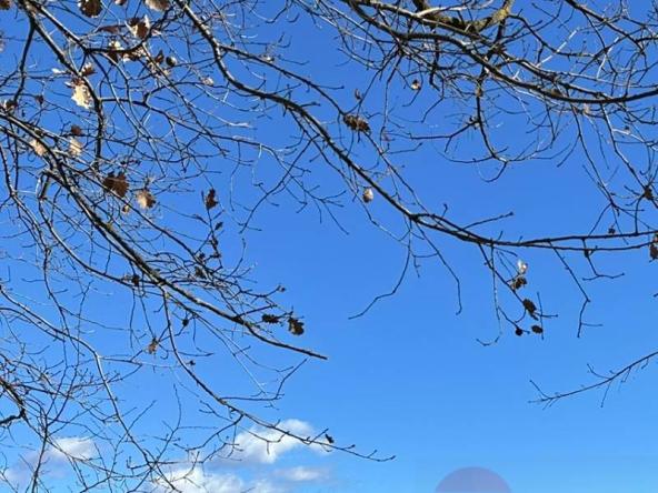 Foto terreno-agricolo in Vendita a Colli a Volturno