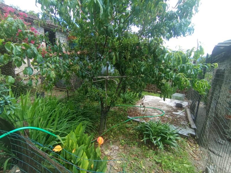 Foto semi_detached_house in Vendita a Coreglia Antelminelli