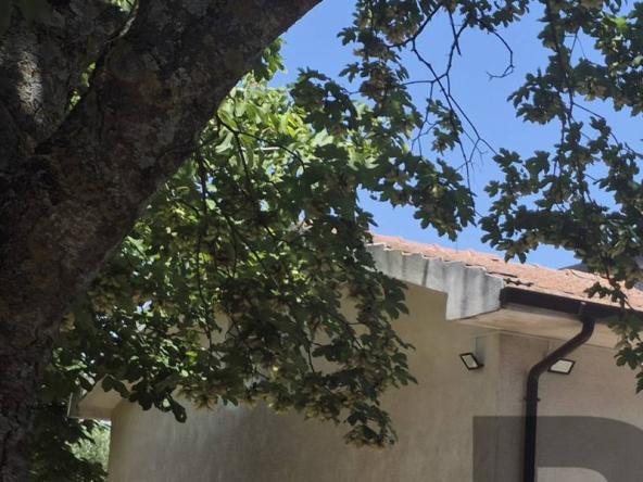 Foto casa-indipendente in Vendita a Bonito