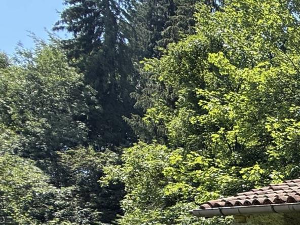 Foto baita-chalet in Vendita a Belluno