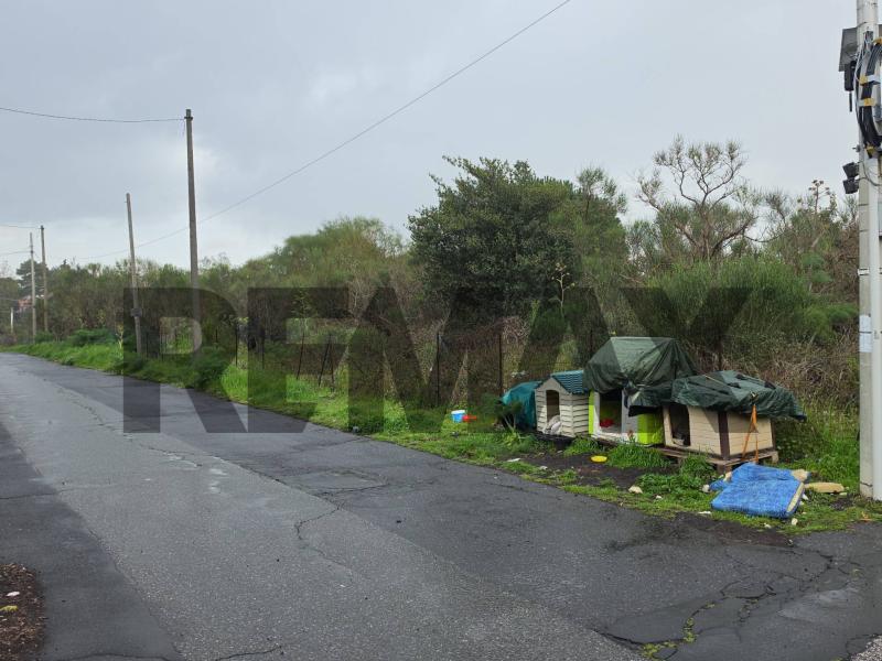 Foto terreno-residenziale in Vendita a Mascalucia