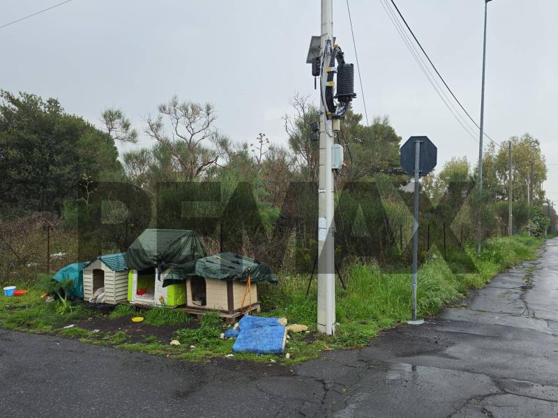 Foto terreno-residenziale in Vendita a Mascalucia