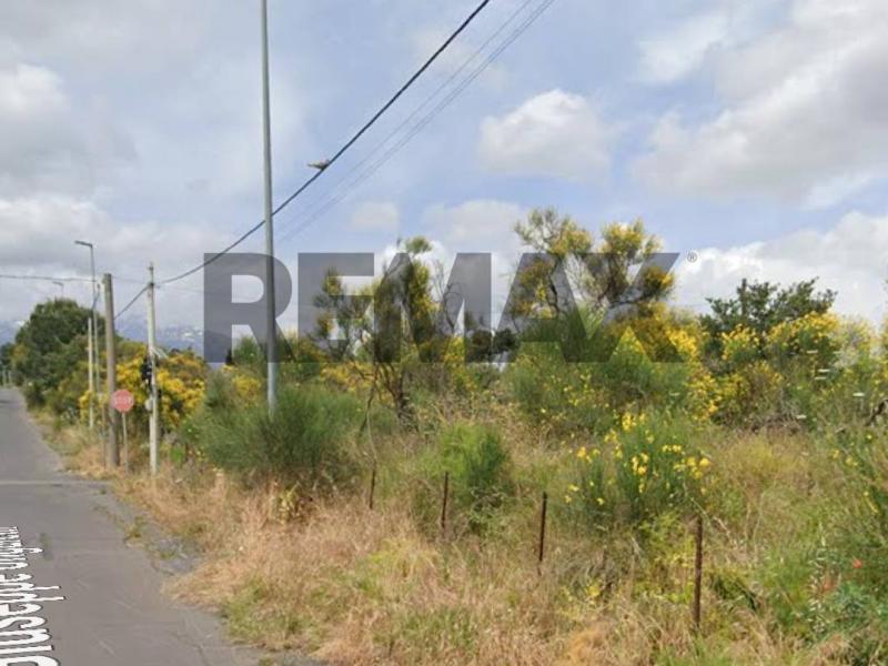 Foto terreno-residenziale in Vendita a Mascalucia