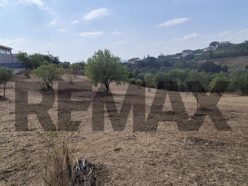 Foto terreno-residenziale in Vendita a Ariano Irpino