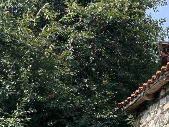 Foto rustico-casale-corte in Vendita a Civitella Alfedena