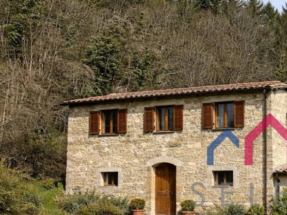 Foto rustico-casale-corte in Vendita a Castiglione di Garfagnana