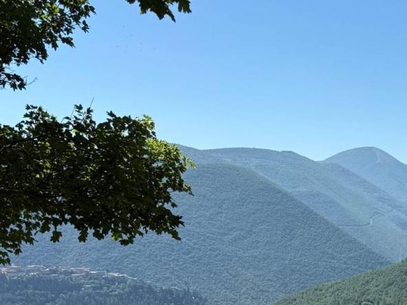 Foto rustico-casale-corte in Vendita a Cerreto di Spoleto