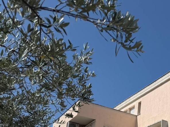 Foto appartamento in Vendita a Gualdo Cattaneo