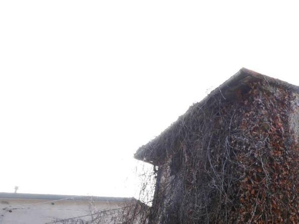 Foto rustico-casale-corte in Vendita a Serramazzoni