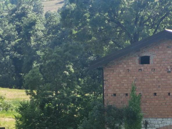 Foto rustico-casale-corte in Vendita a Prignano sulla Secchia