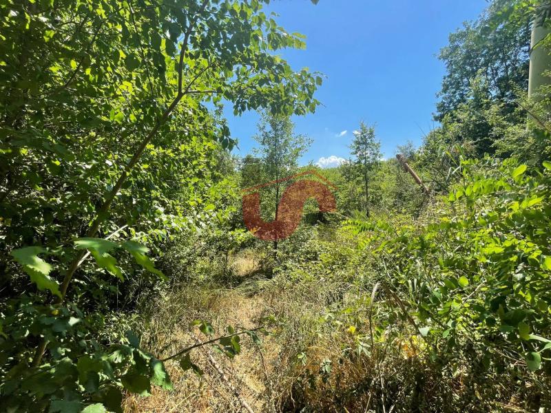 Foto terreno-residenziale in Vendita a Sant'Angelo a Cupolo
