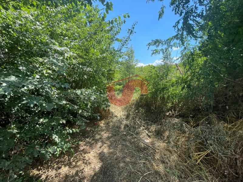 Foto terreno-residenziale in Vendita a Sant'Angelo a Cupolo