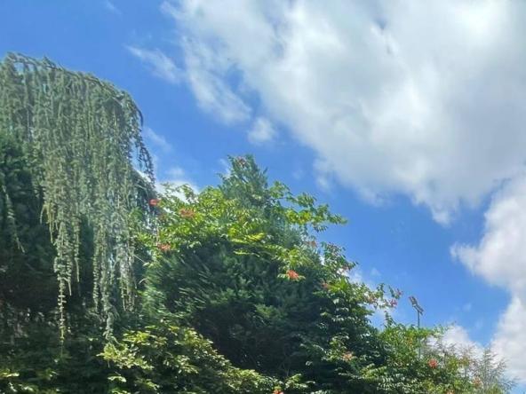 Foto terreno-residenziale in Vendita a Sant'Angelo a Cupolo