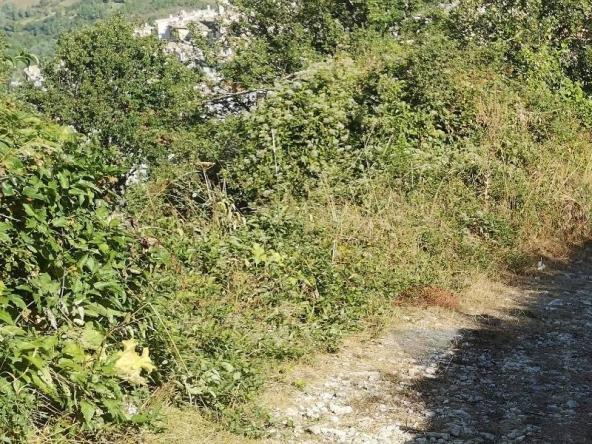Foto terreno-agricolo in Vendita a Barrea