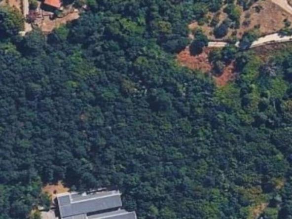 Foto terreno-residenziale in Vendita a Canale Monterano
