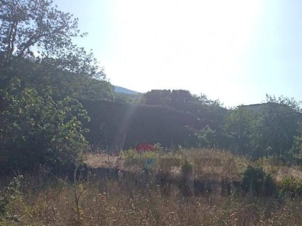 Foto terreno-residenziale in Vendita a Linguaglossa
