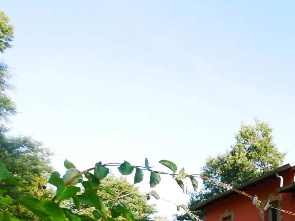 Foto rustico-casale-corte in Vendita a Minucciano