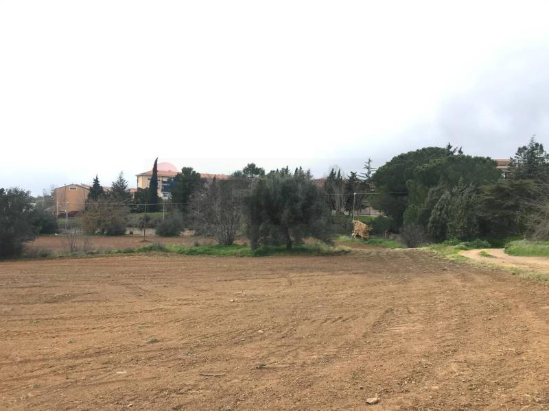 Foto terreno-residenziale in Vendita a Caltagirone