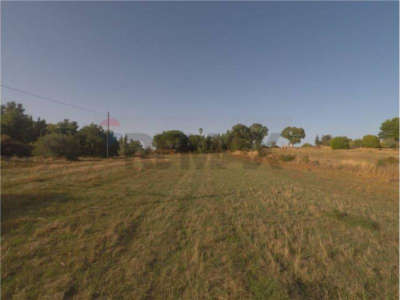 Foto terreno-residenziale in Vendita a Caltagirone
