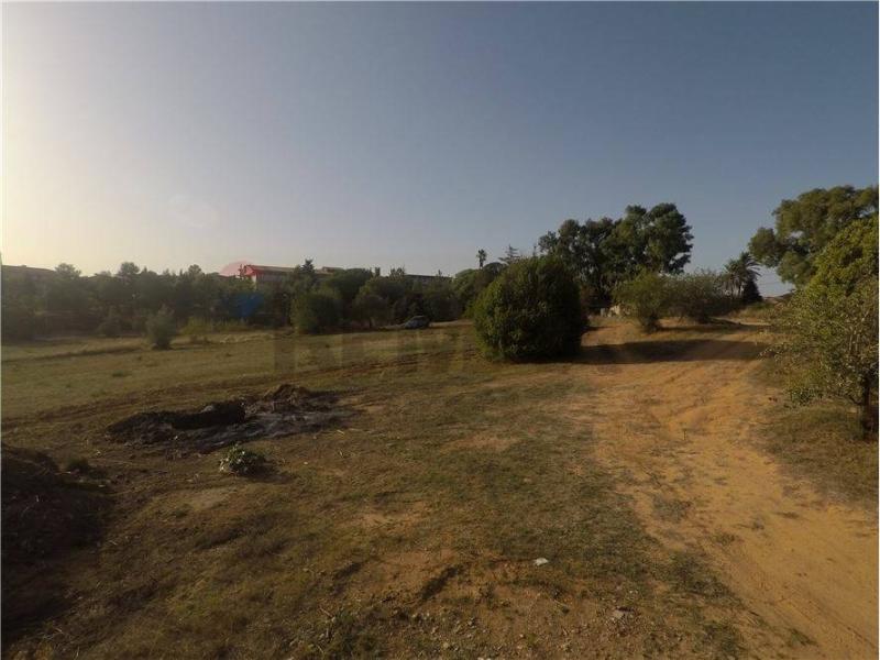 Foto terreno-residenziale in Vendita a Caltagirone