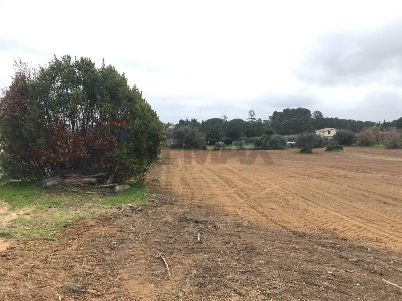 Foto terreno-residenziale in Vendita a Caltagirone