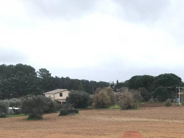 Foto terreno-residenziale in Vendita a Caltagirone