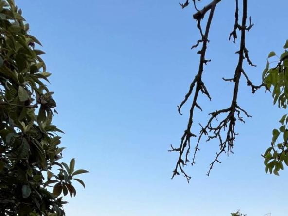 Foto terreno-residenziale in Vendita a Caltagirone