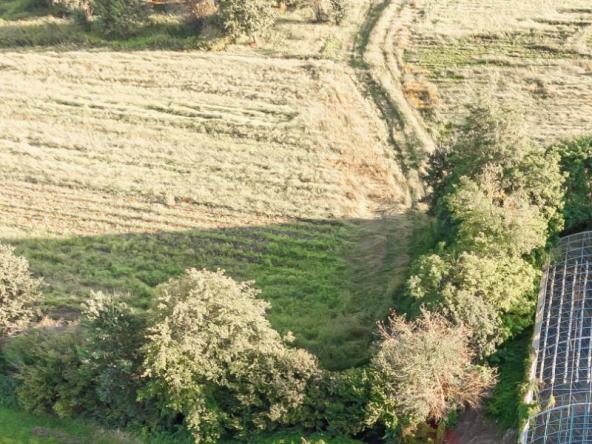 Foto azienda-agricola in Vendita a Cumiana